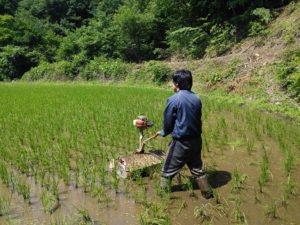 IMG_20160618_134026 - コピー
